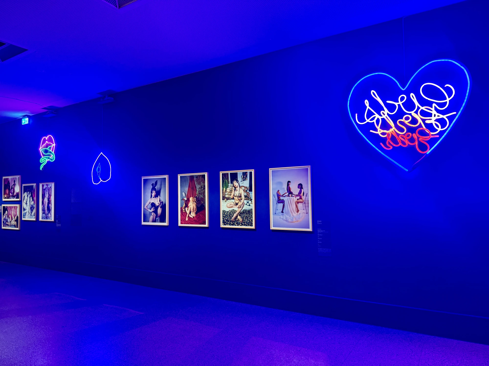 four photographic works hang on the wall of a gallery next to neon artwork.