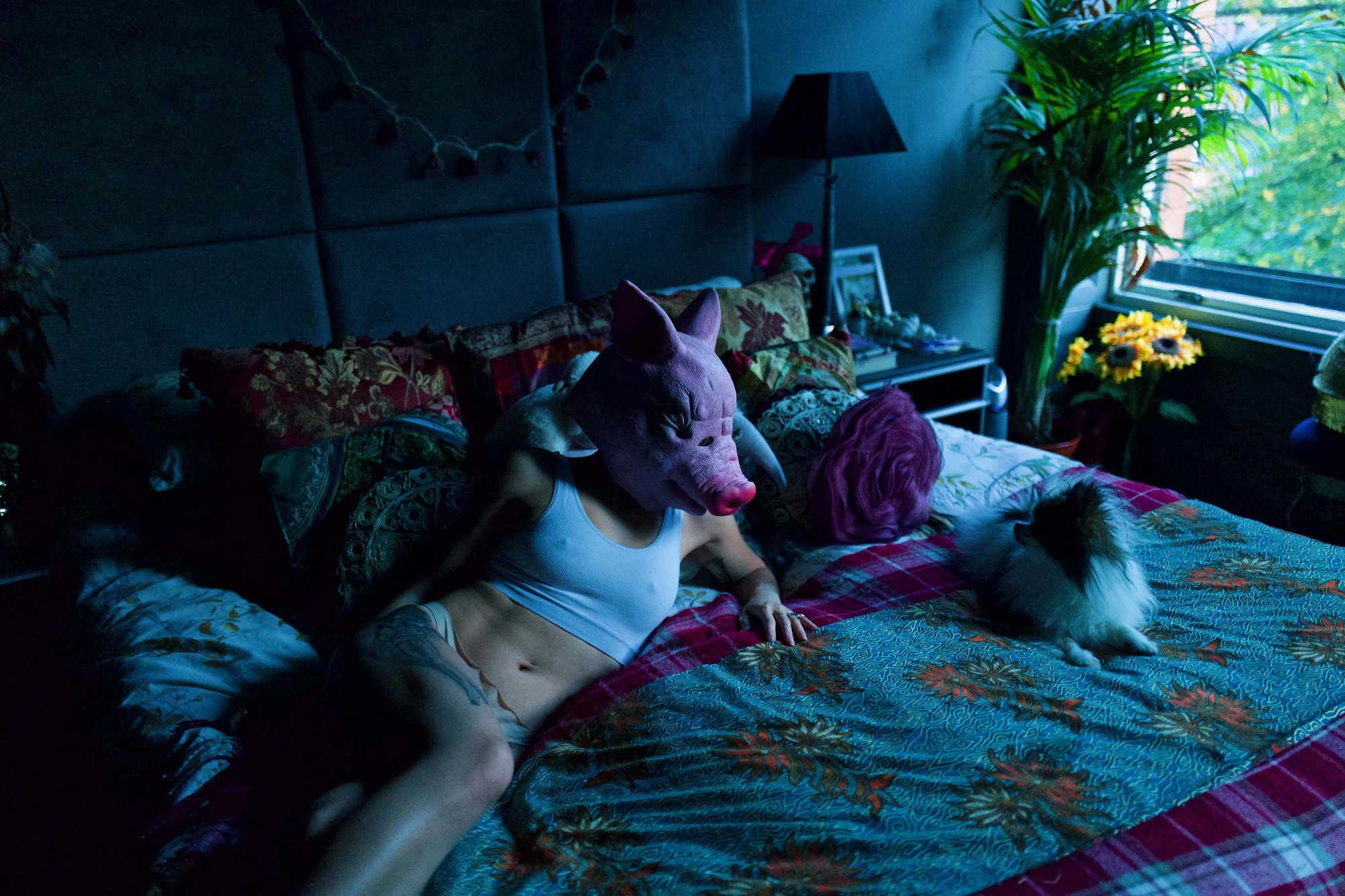 a woman wearing a tank top has a pig's head and is looking at a black and white pomeranian, who looks back at her.