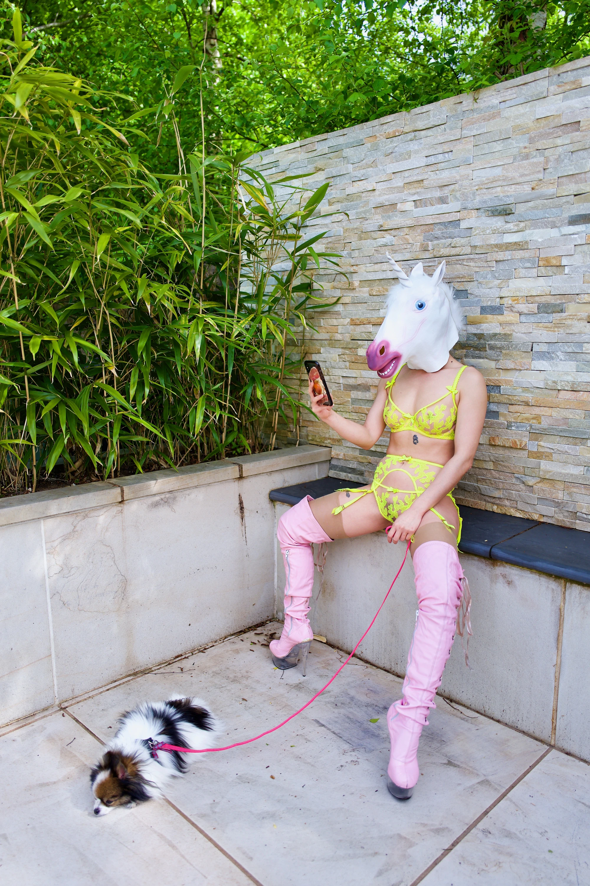 a woman with a unicorn mask and lingerie is holding a pomeranian on a leash.